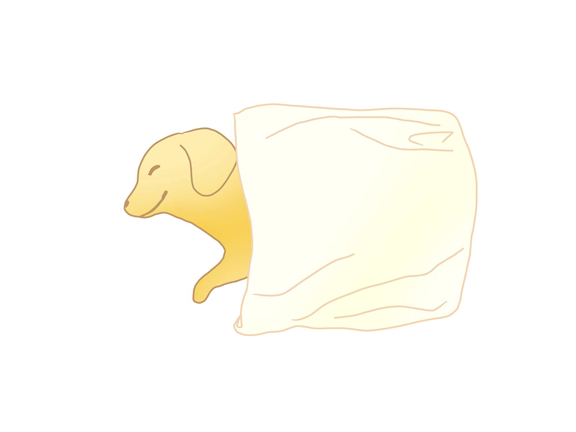 ペットが亡くなったら